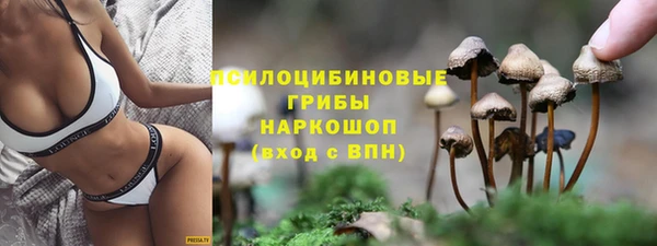 прущие грибы Арсеньев