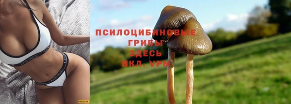 марки nbome Аркадак