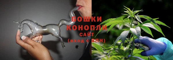 прущие грибы Арсеньев