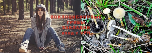марки nbome Аркадак