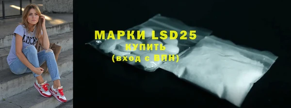 прущие грибы Арсеньев