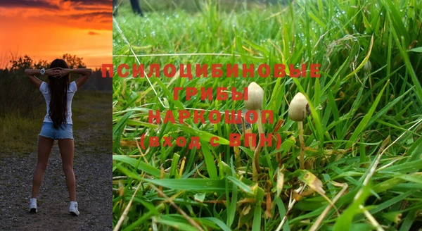 марки nbome Аркадак
