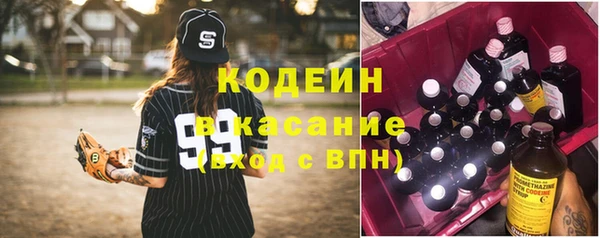 прущие грибы Арсеньев