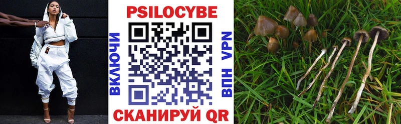 Псилоцибиновые грибы GOLDEN TEACHER  Бежецк 
